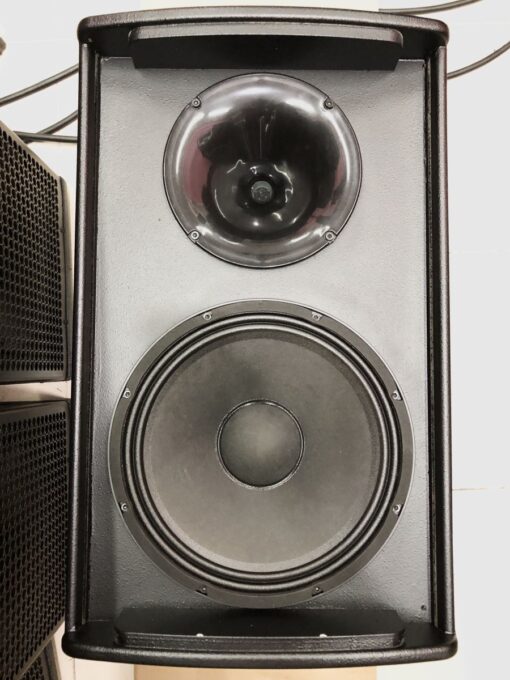 Loa Karaoke Bosa Rx12 (3)