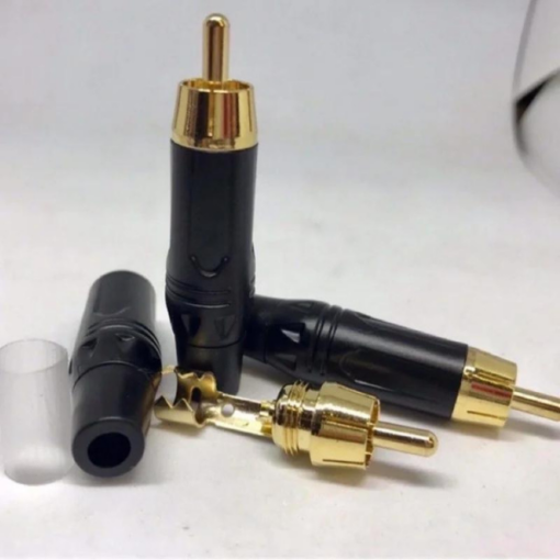 Jack Rca BÔng Sen (3)