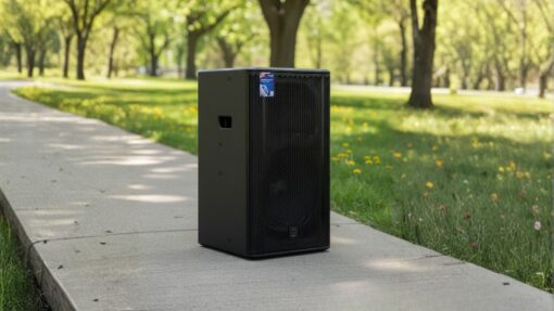 Loa Karaoke Sự Kiện DBacoustic VSM12